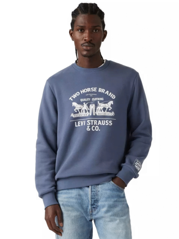 Blusa Polerón Hombre Standard Graphic Crew Azul Levis